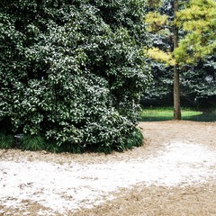 DSC_20851.jpg