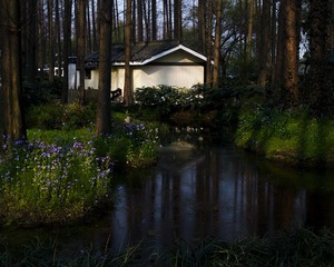 DSC_5195.jpg