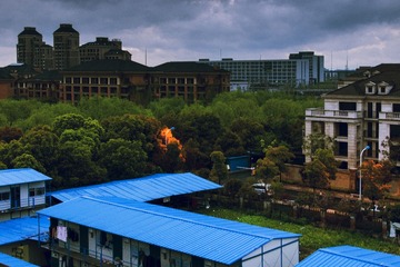 DSC_6335.jpg
