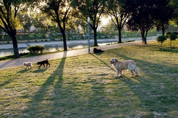 DSC_9716.jpg