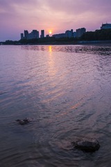 DSC_0946.jpg