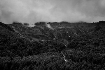 _DSC4671.jpg