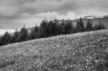 _DSC48011.jpg