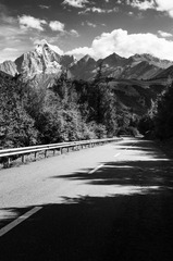_DSC48441.jpg
