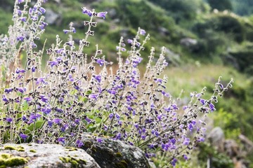 _DSC4545.jpg