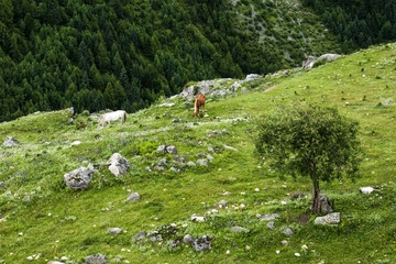 _DSC4602.jpg