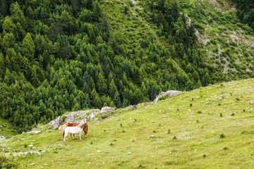 _DSC4590.jpg