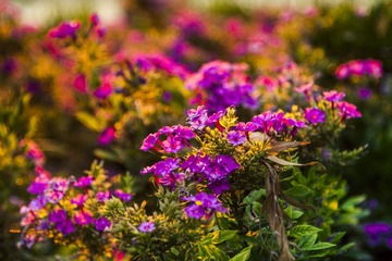 _DSC6417.jpg
