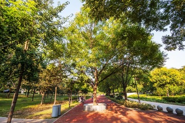 _DSC7300.jpg