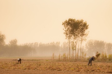 _DSC0220