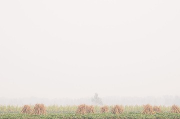 _DSC0196