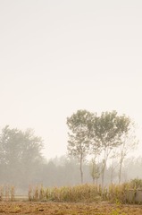 _DSC0202
