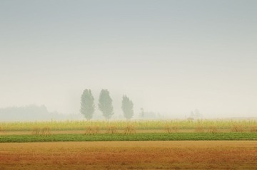 _DSC0217