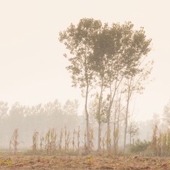 _DSC02081
