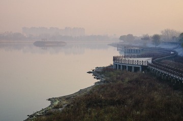 _DSC2361