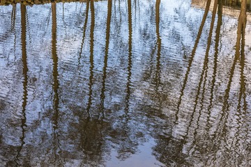 IMG_0161-2