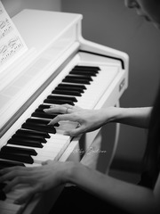 DSCF1111 拷贝 2