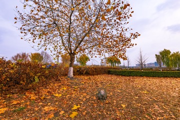 20124