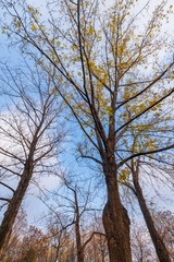 20119