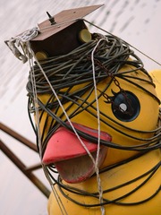 603078