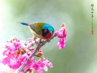 DSCF2026_conew1