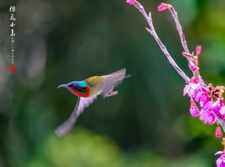 DSCF2512_conew1