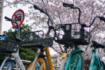 9CEBC0A2-3F8D-411F-8607-68D1F960EFAC/L0/001