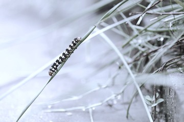 IMG_9465-3-2.jpg