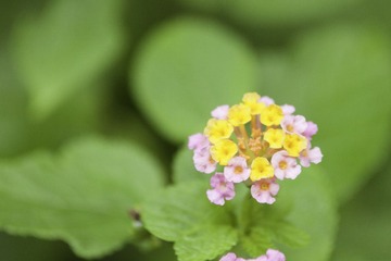 _MG_2361.jpg