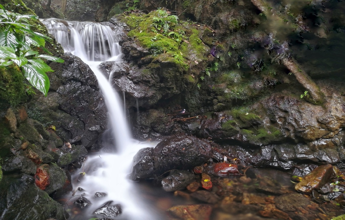 琴溪香谷听溪声