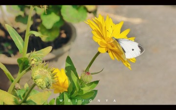 P1020884_副本.jpg
