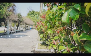 P1020944_副本.jpg