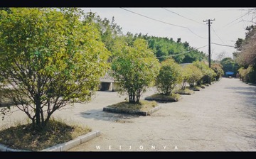 P1020949_副本.jpg