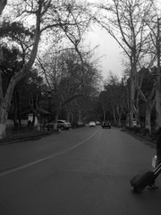 CIMG0787_副本.jpg