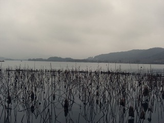 CIMG0738_副本.jpg