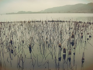 CIMG0737_副本.jpg