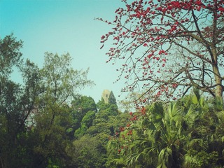 CIMG0819_副本.jpg
