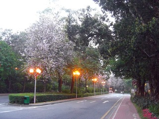CIMG0897_副本.jpg