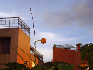 CIMG1154_副本.jpg