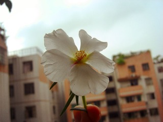 CIMG1229_副本.jpg