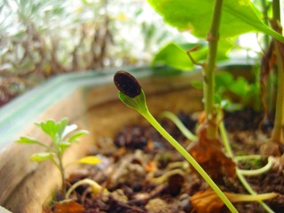 CIMG1242_副本.jpg