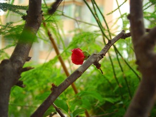 CIMG1250_副本.jpg