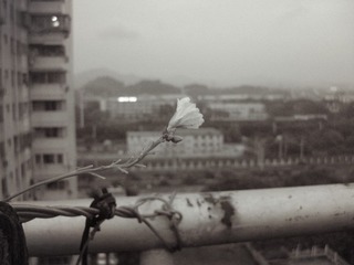 CIMG1603_
