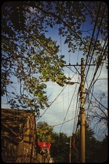 CD1_1192-2.jpg