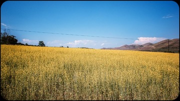 “DSC01278”为智能对象-1