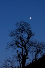 2013.03.24-18.19.46.jpg