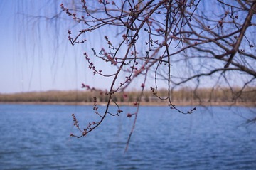 2013.03.24-14.43.48.jpg