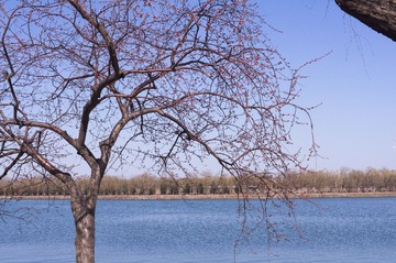 2013.03.24-15.07.07.jpg
