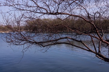 2013.03.24-15.24.50.jpg