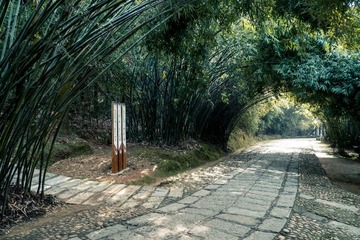 DSCF0311-11.jpg